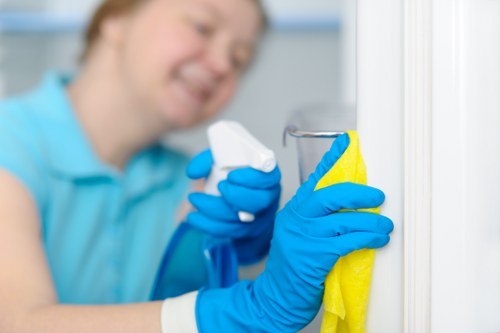 SSL encryption shield for carpet cleaning payments