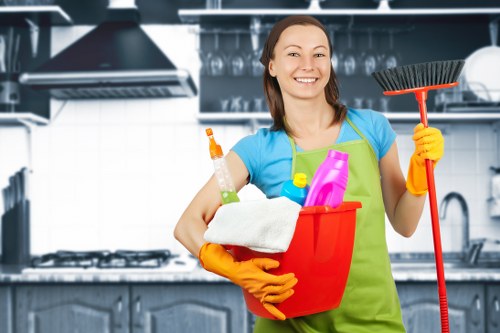 Illustration of cookie settings on a cleaning service website