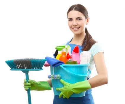 Cleaning process in progress on a domestic carpeted floor