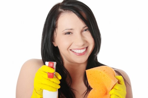 Specialist cleaning products used for pet stain removal